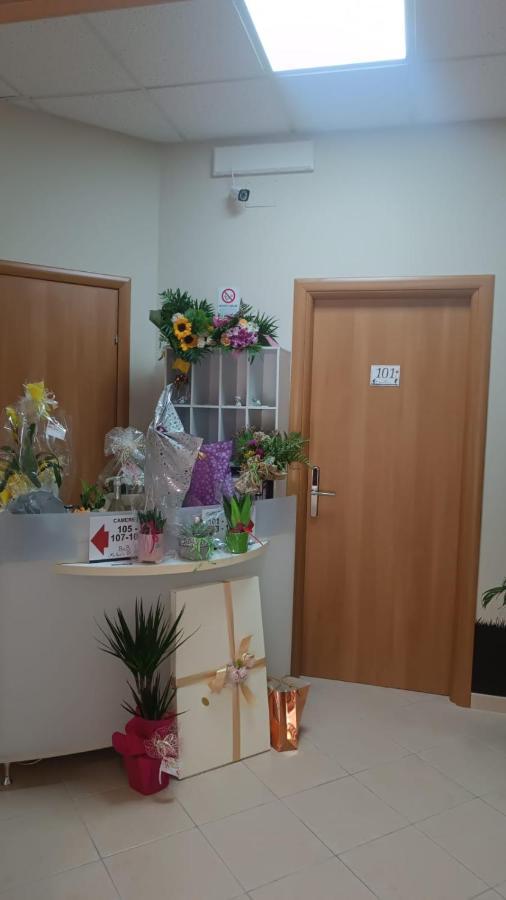 B&B Michael'S Dream Oriolo (Calabria) Exterior foto